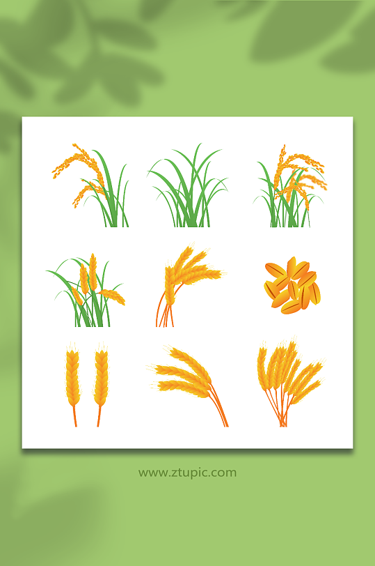 手绘矢量农作物稻谷小麦插画元素
