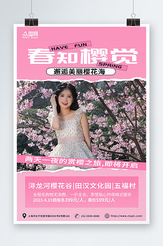 粉色剪纸风樱花赏花季旅行社旅游人物海报