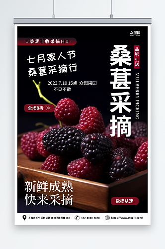 黑红摄影风桑葚果园水果采摘促销海报