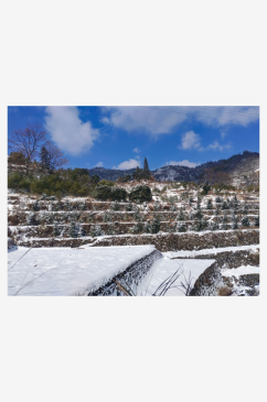 山村雪景白雪摄影图