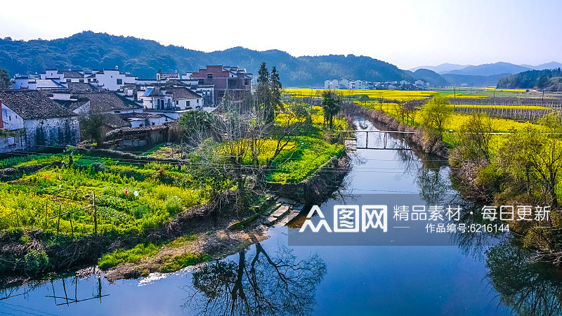 高清油菜花花海植物花朵摄影图素材