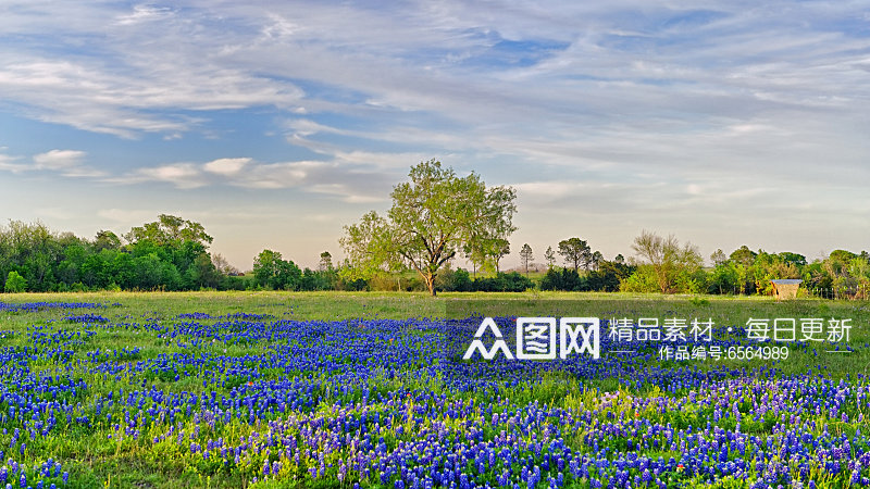 创意高清自然风光风景摄影图素材