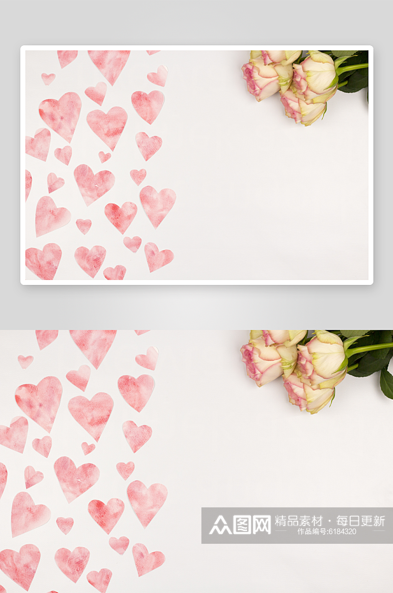 浪漫粉色玫瑰花卉摄影图图片素材