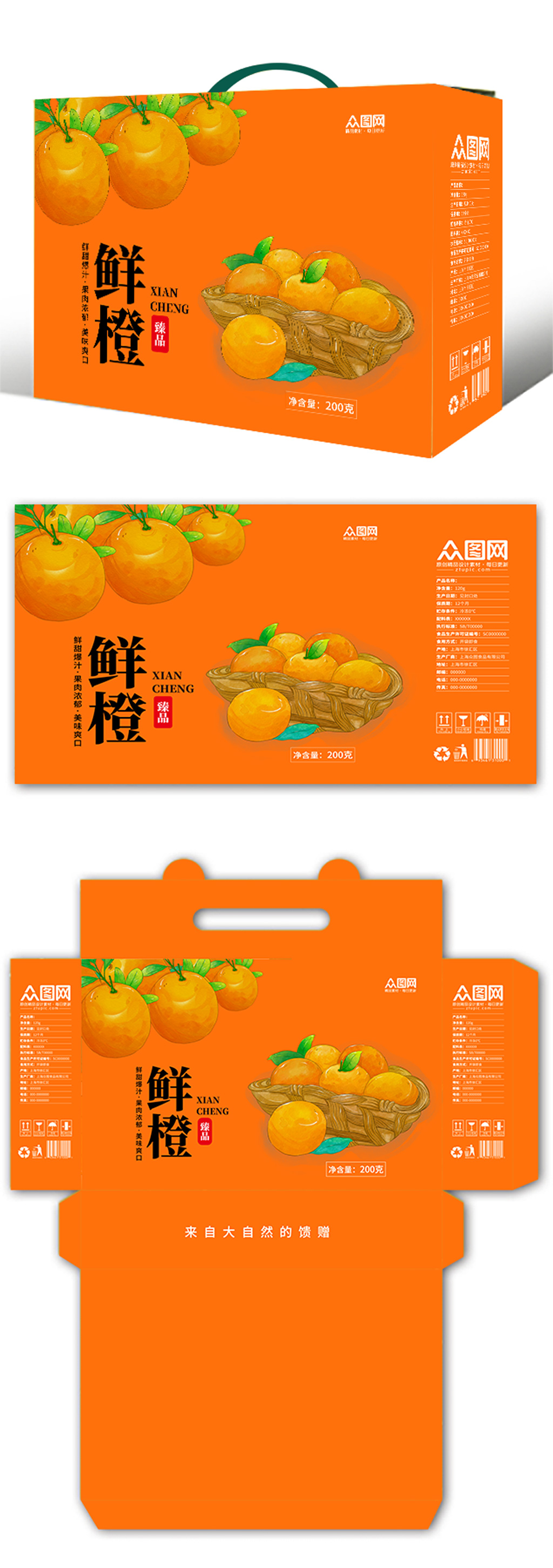 插画鲜橙橙子礼盒包装设计素材