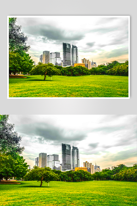 摄影图片简约城市建筑绿化单色调背景图