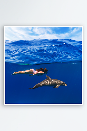 高清可爱海豚摄影图