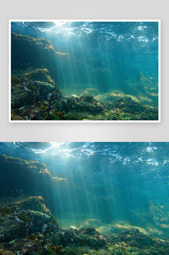 高清海底鱼群摄影图