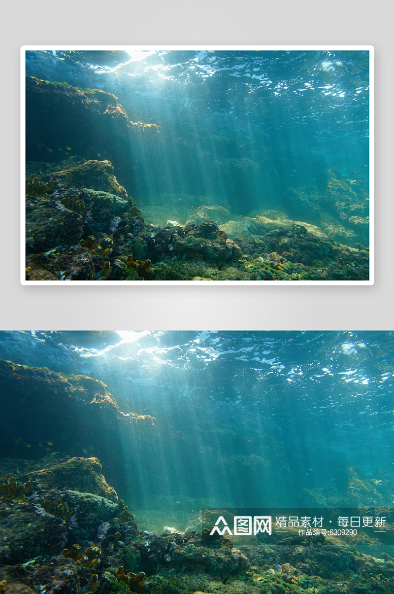高清海底鱼群摄影图素材