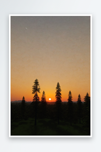 现代树特写日落形图片背景主题壁景高压照片
