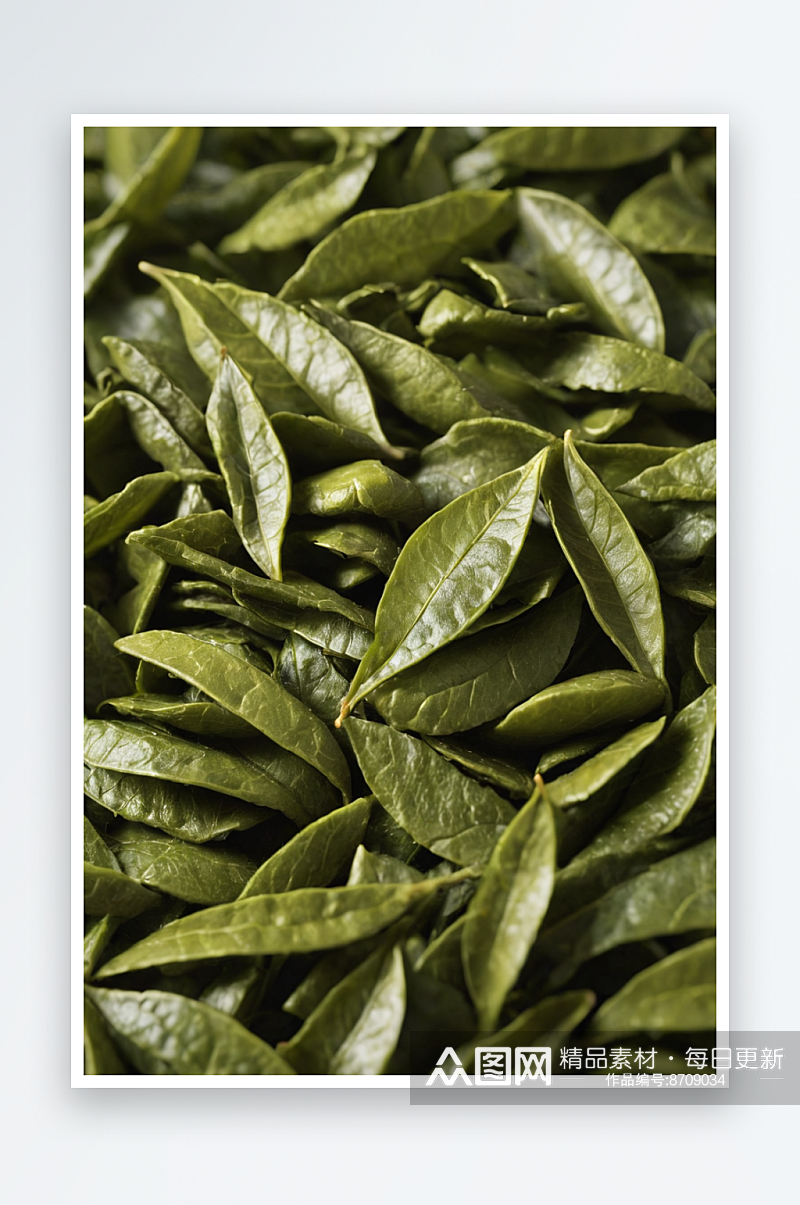 毛尖绿茶茶壶茶叶图片照片素材素材