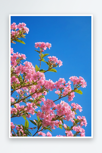 AI数字艺术植物花朵开花了摄影图