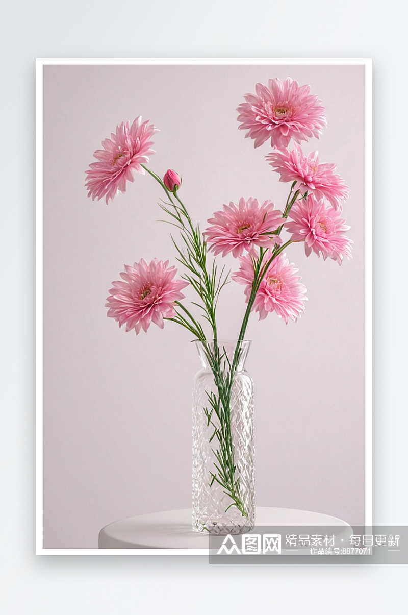 白色背景下花瓶中粉红色花朵特写图片素材