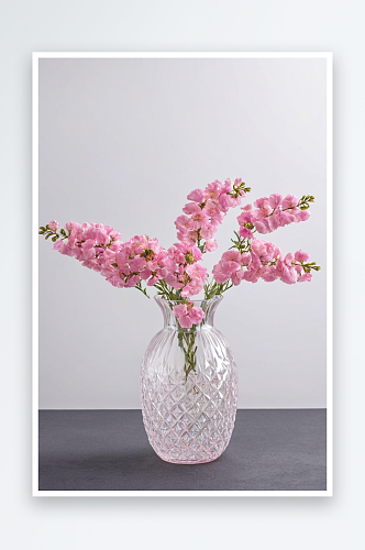 白色背景下花瓶里粉红色花朵特写镜头图片