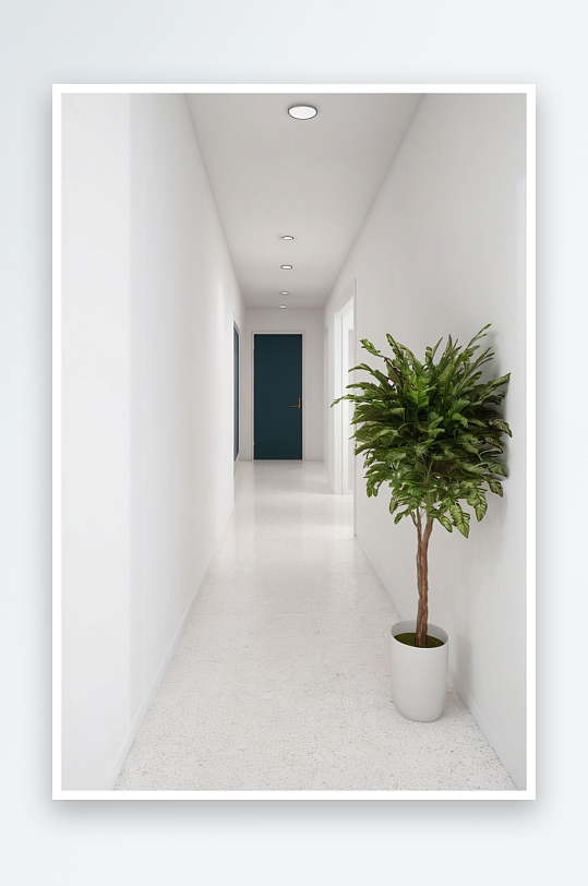 白墙公寓里空荡荡走廊特写一边有一株植物门