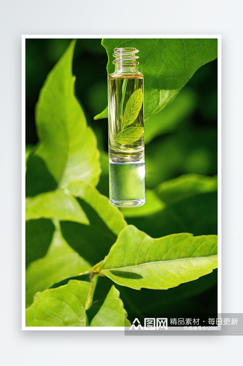 天然绿叶背景上涂抹美容精华或天然精油图片素材