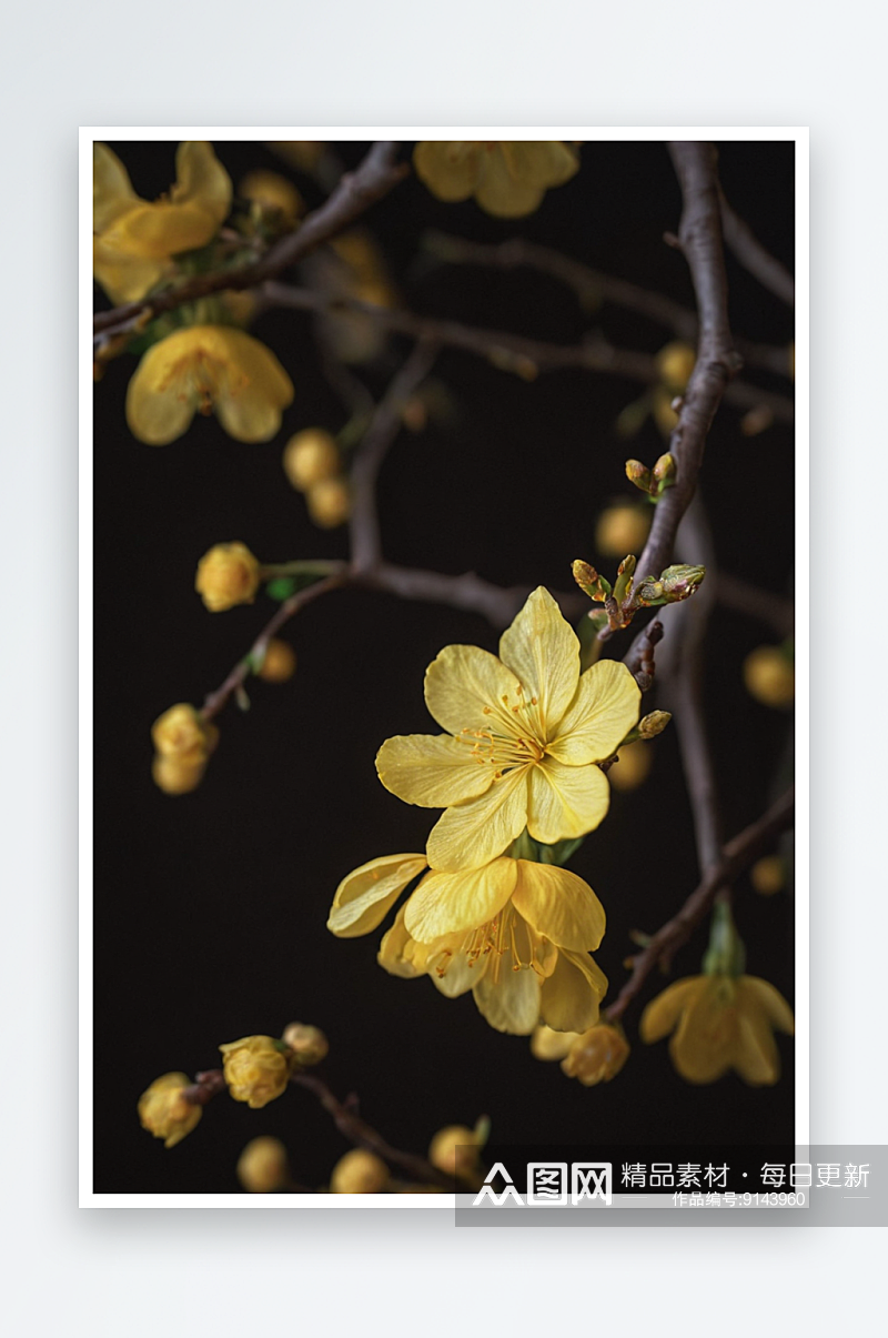树枝上黄色花朵特写图片素材