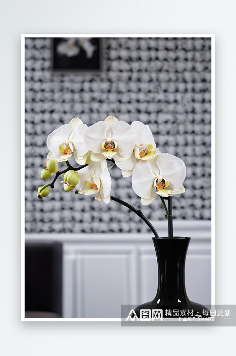 模糊格子背景前一个装着白色兰花黑色花瓶图素材