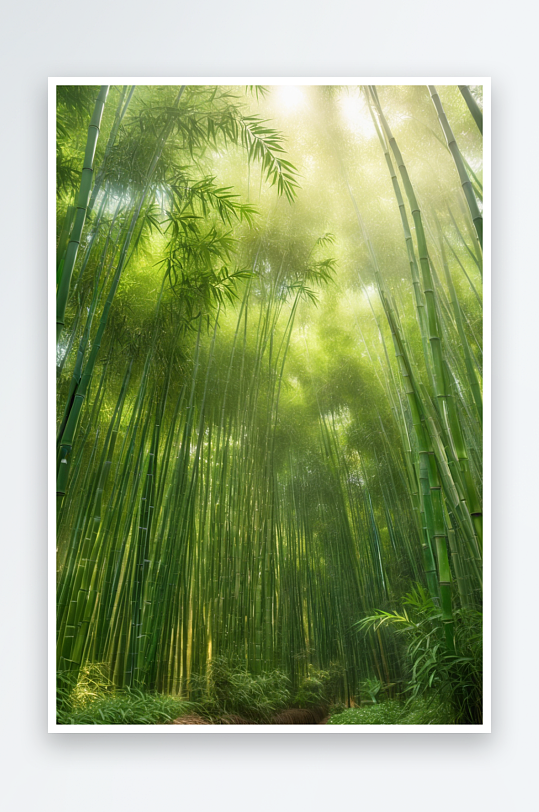 翠绿的竹林图片特写