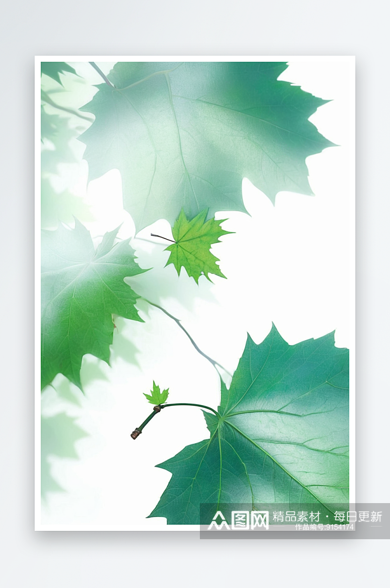 绿色枫叶自然中式插画图片素材