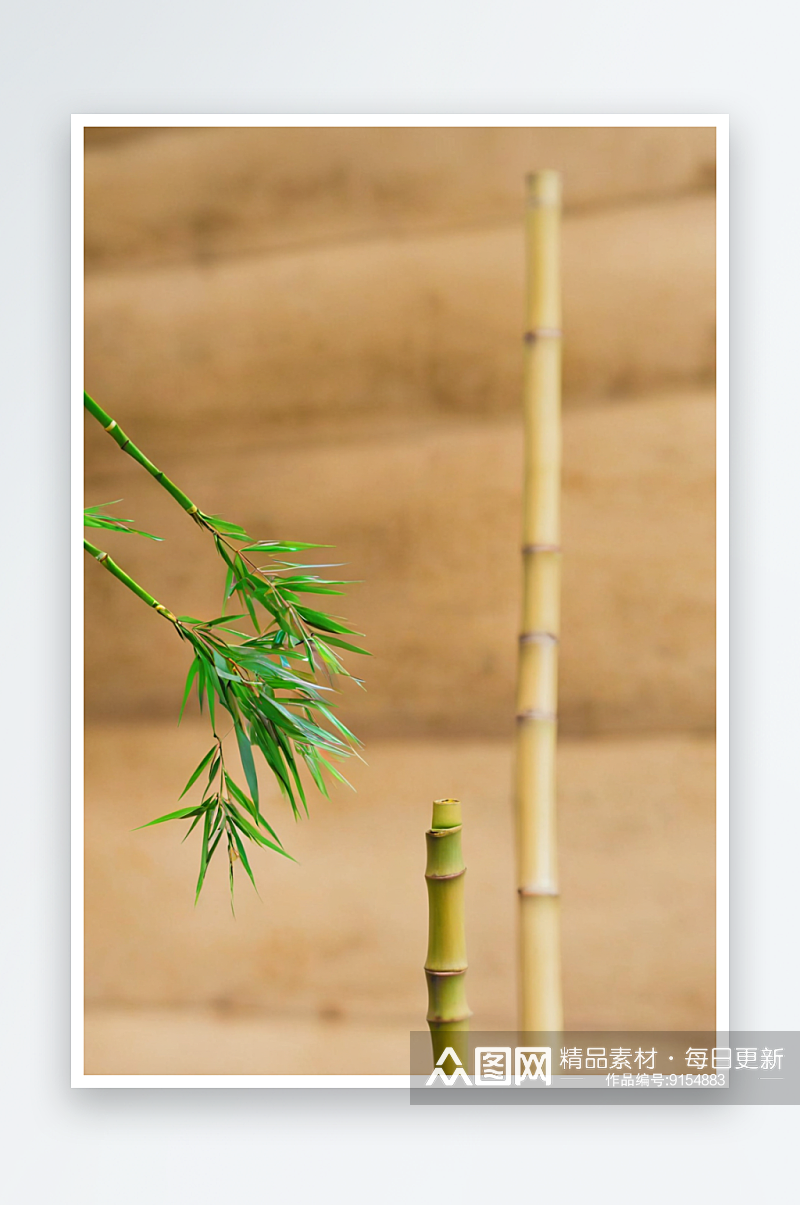 古风小品农作物竹子图片素材