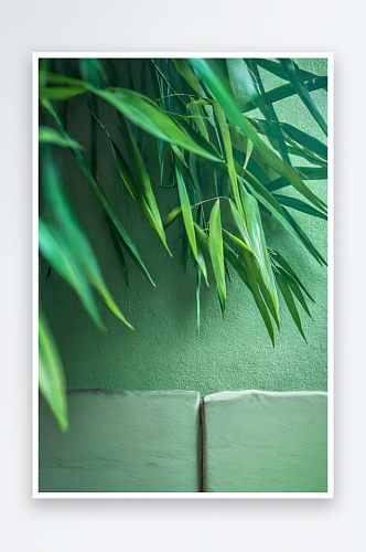 温暖色调自然竹墙背景特写图片