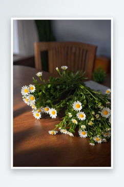 桌上有一小束雏菊阳光图片