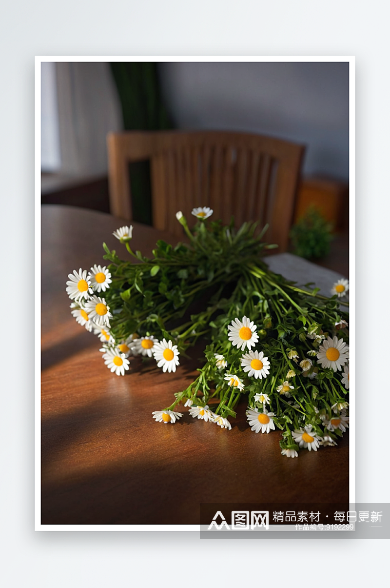 桌上有一小束雏菊阳光图片素材