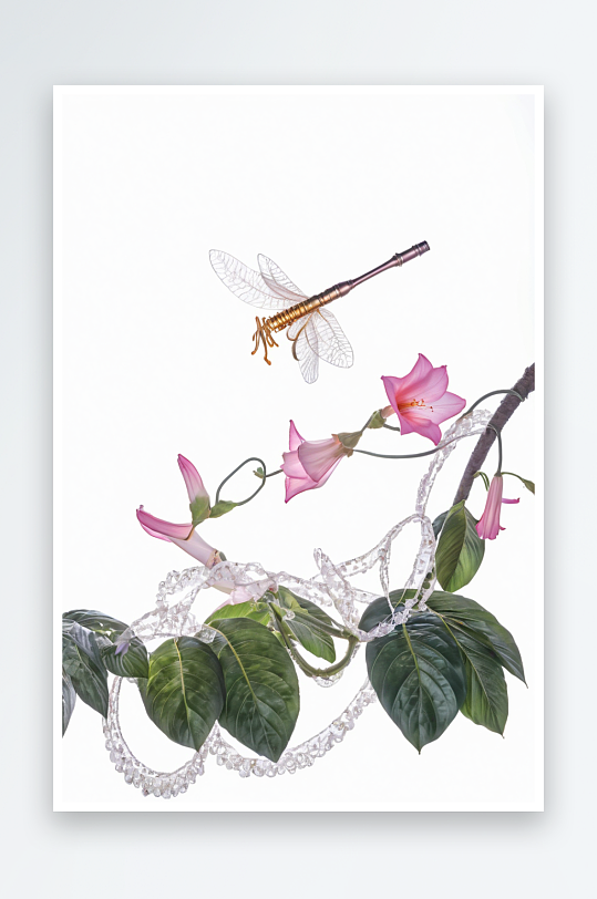 蜻蜓与喇叭花图片