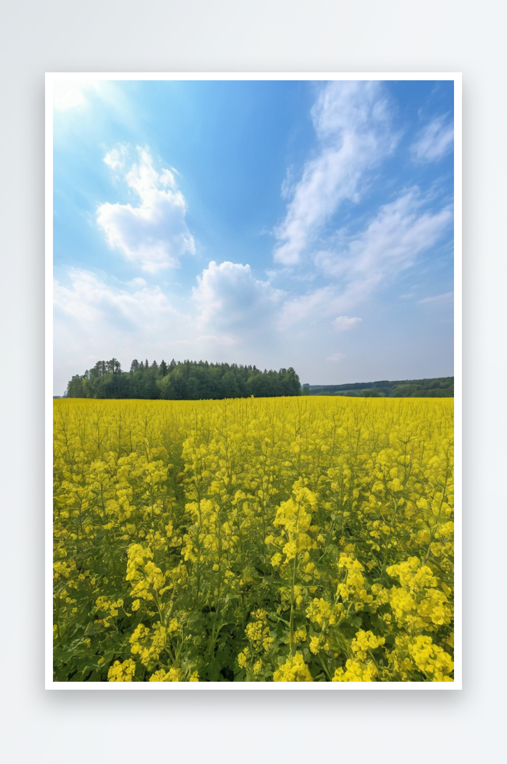 峰林中油菜花海图片素材