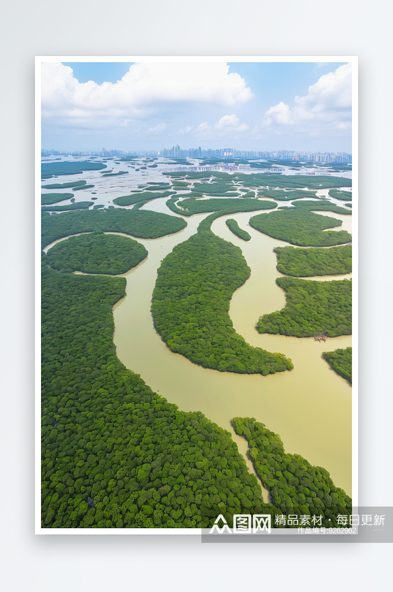 航拍湛江高桥红树林图片素材