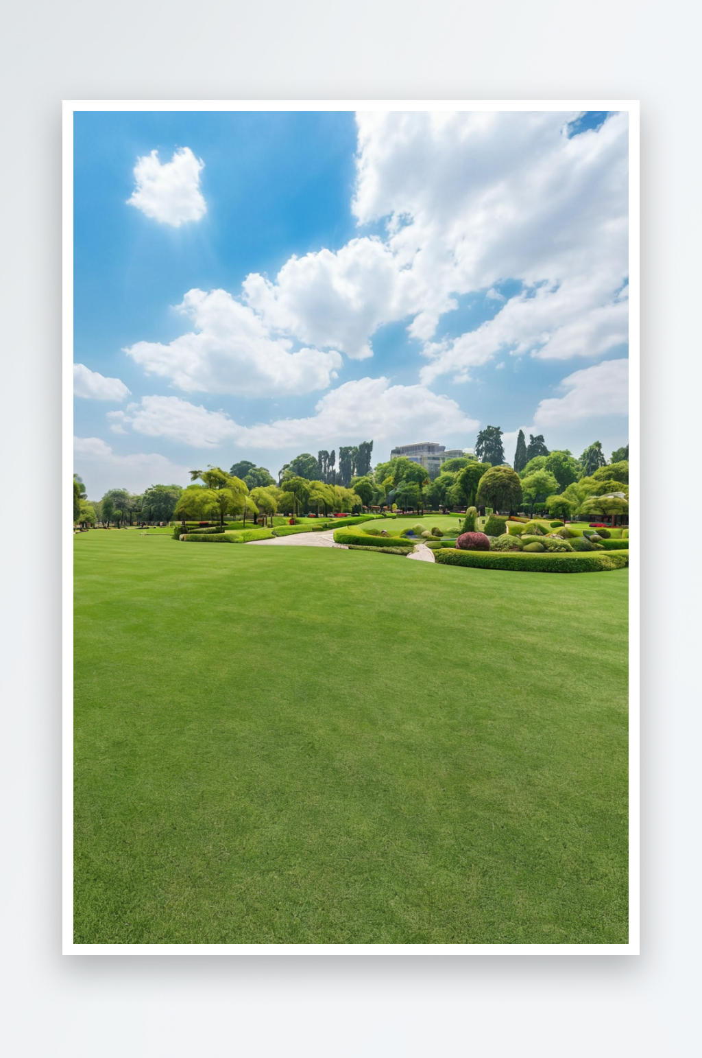 公园里草坪近景特写素材