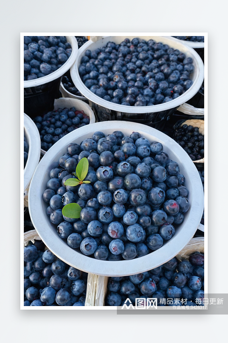 蔬菜水果店出售蓝莓素材