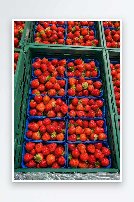 一束束草莓被堆放仓库箱子里