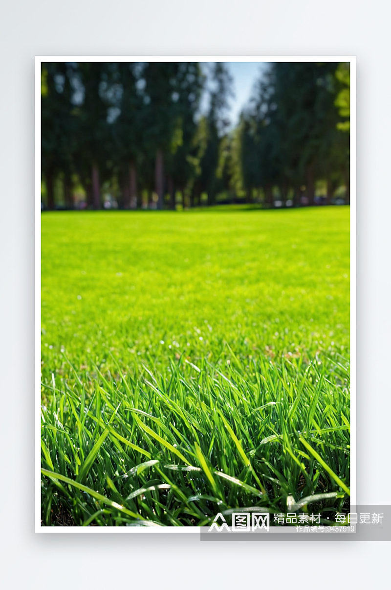 接近绿色草地与树木模糊公园背景春天夏天素材