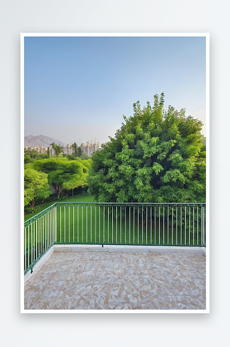 花园与绿色草坪树木从阳台或露台看法