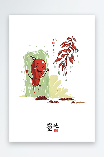 节气寒露海红豆植物人物插画