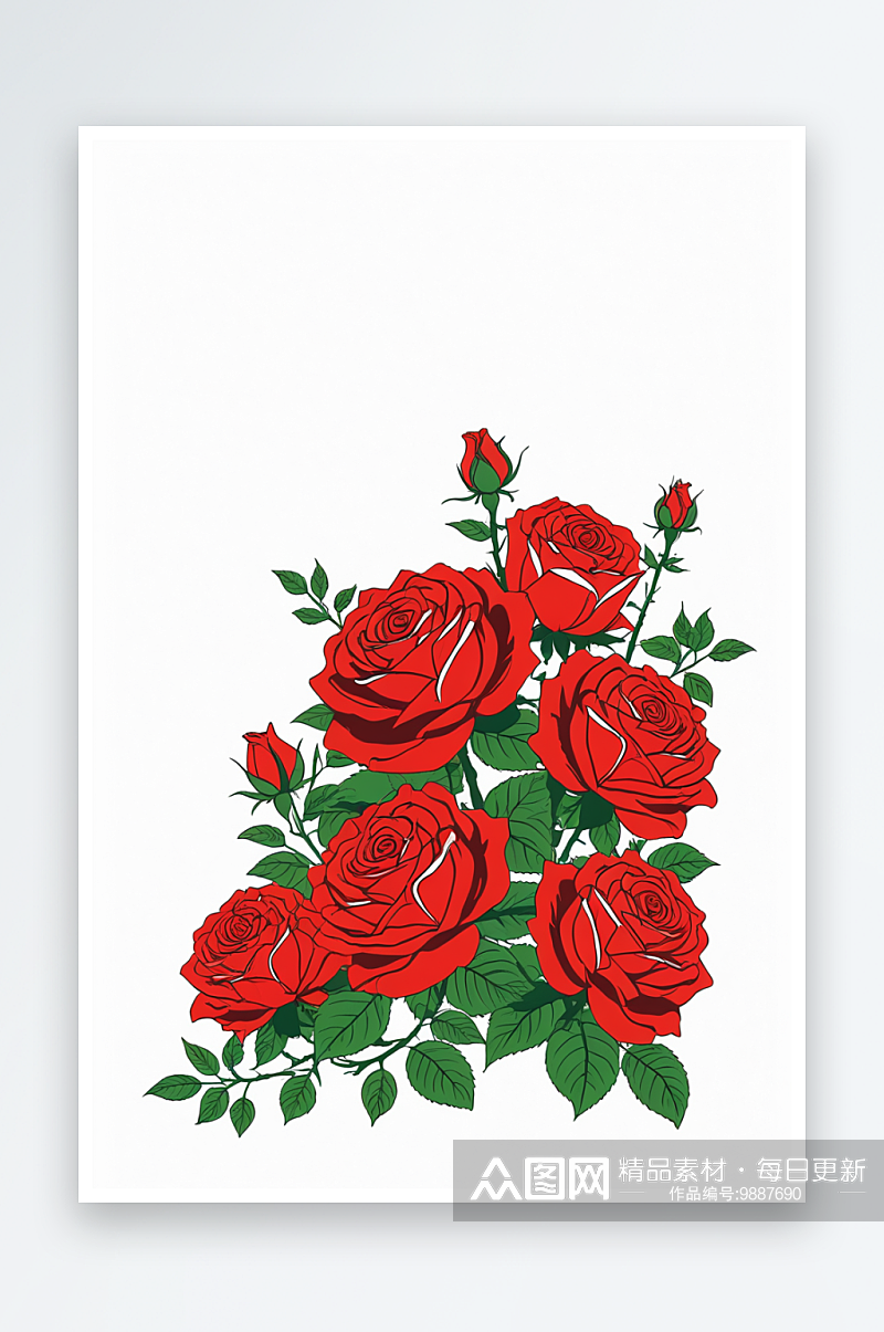 蔷薇玫瑰花丛白色背景素材