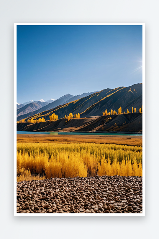 中新疆博尔塔拉赛里木湖旅游风景区秋天景色