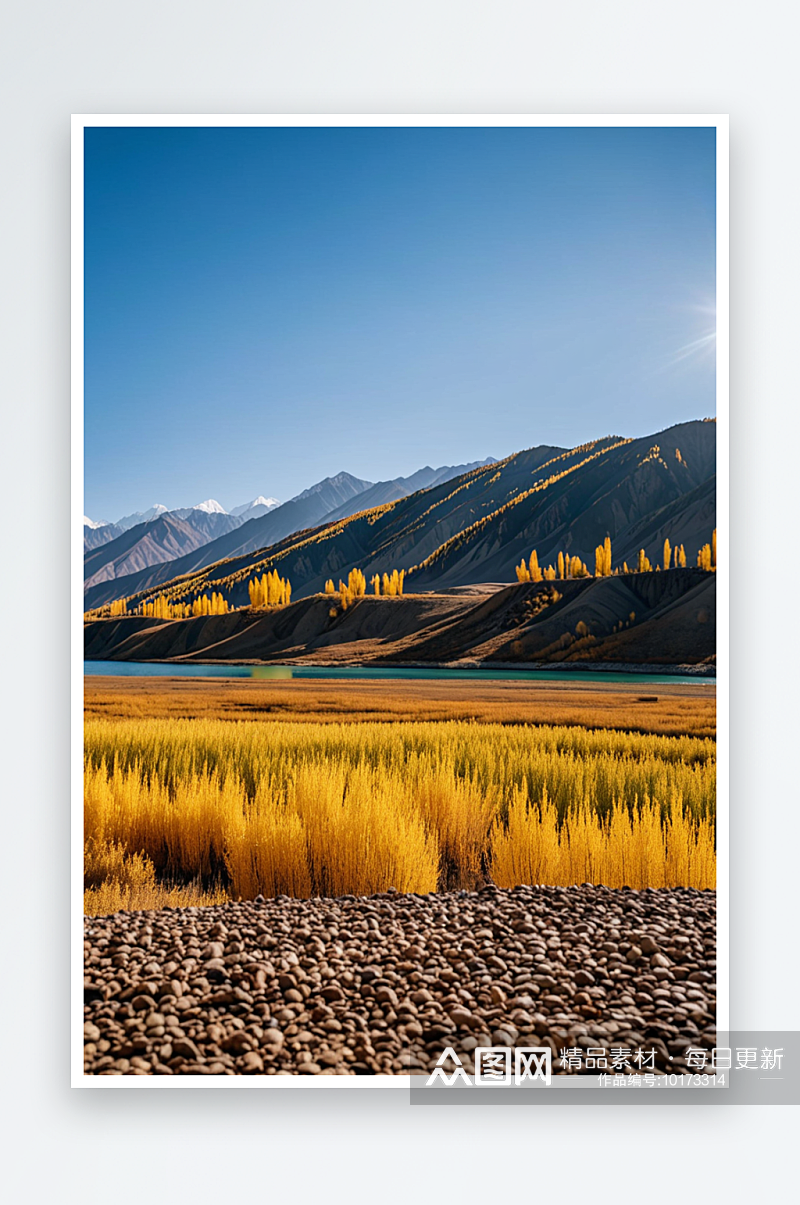 中新疆博尔塔拉赛里木湖旅游风景区秋天景色素材