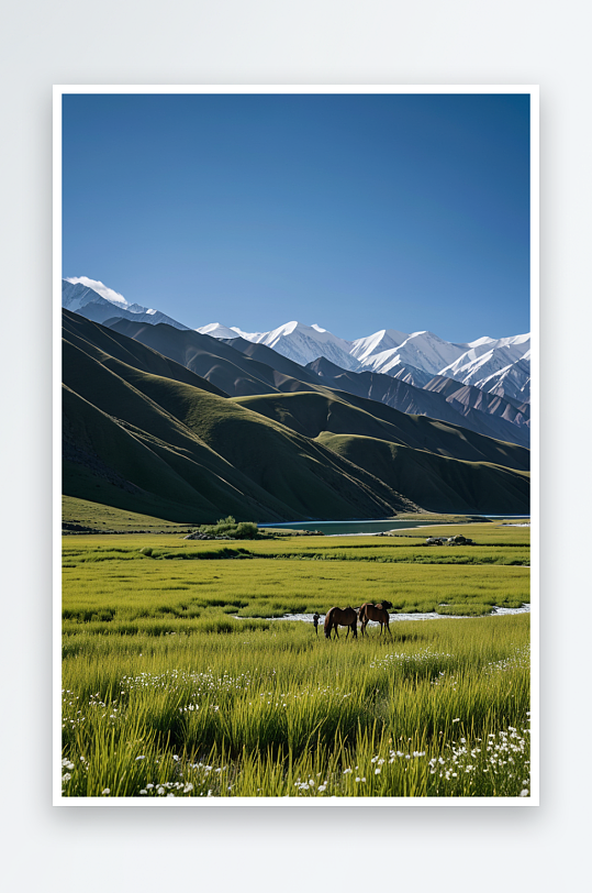 新疆库尔德宁草原蓝天映衬下的田野景色