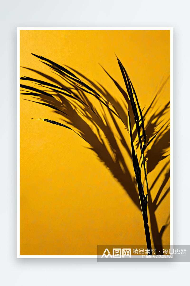 黄色背景上棕榈树树枝的影子照片素材