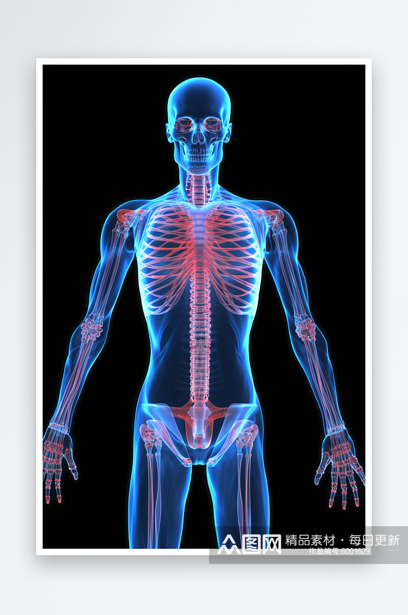 数字艺术AI图人体骨骼素材图片素材