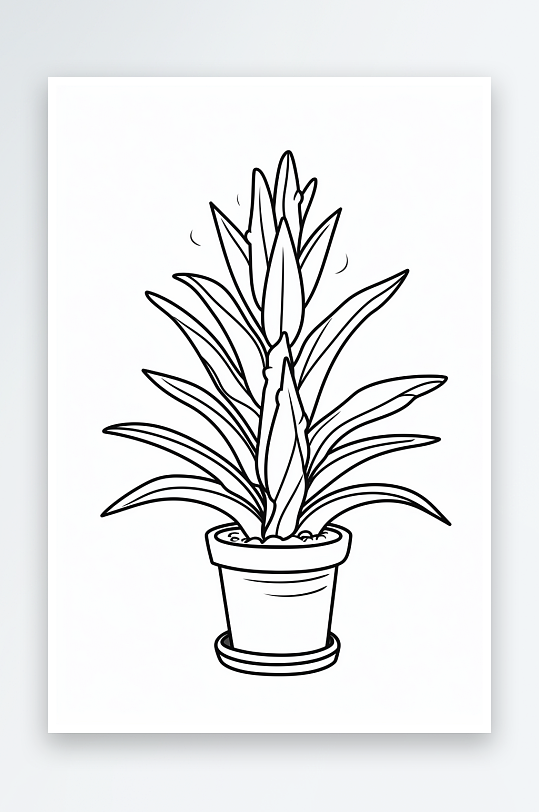 线稿盆栽植物盆栽素材