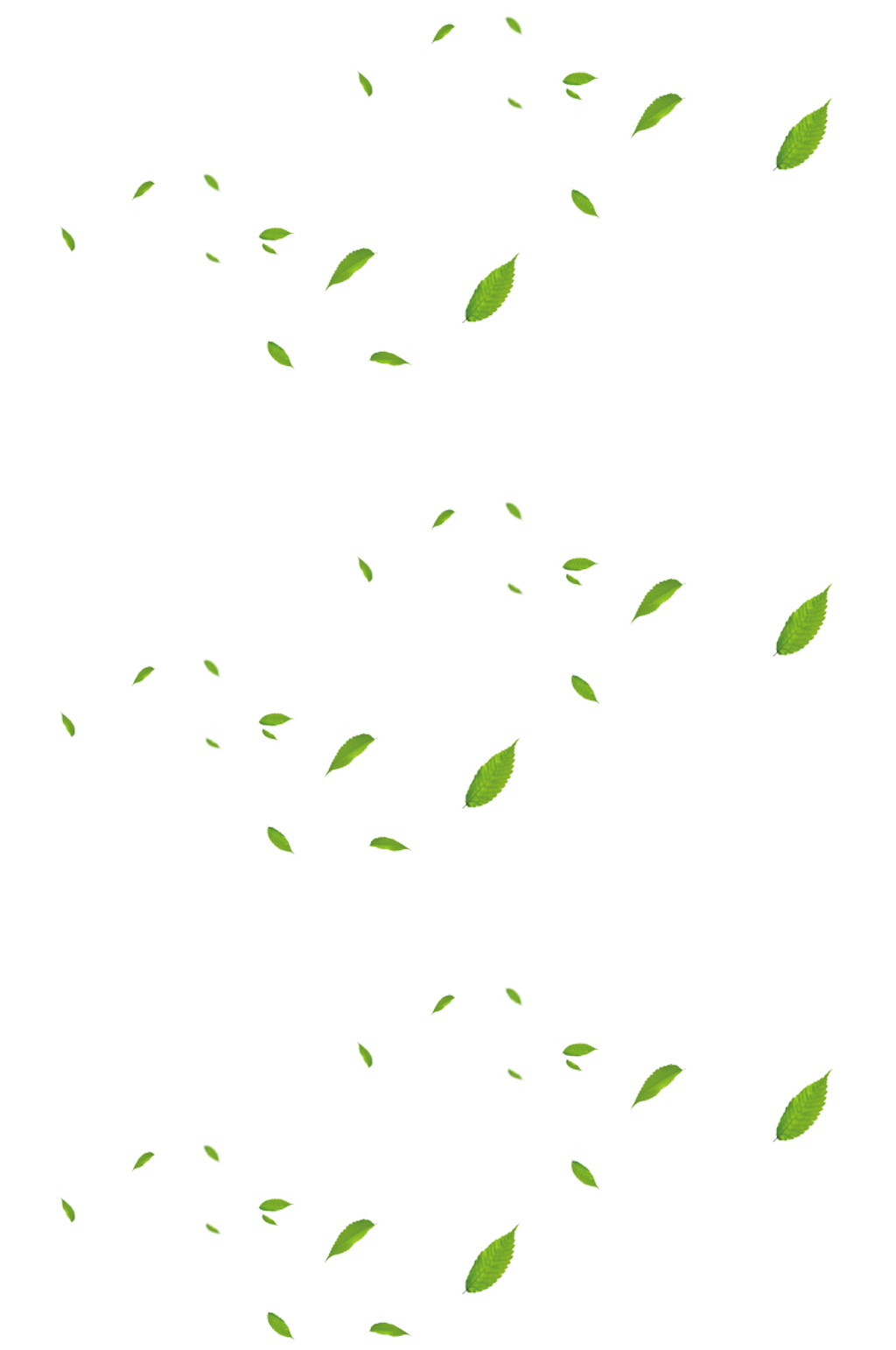 树叶免抠素材.png素材