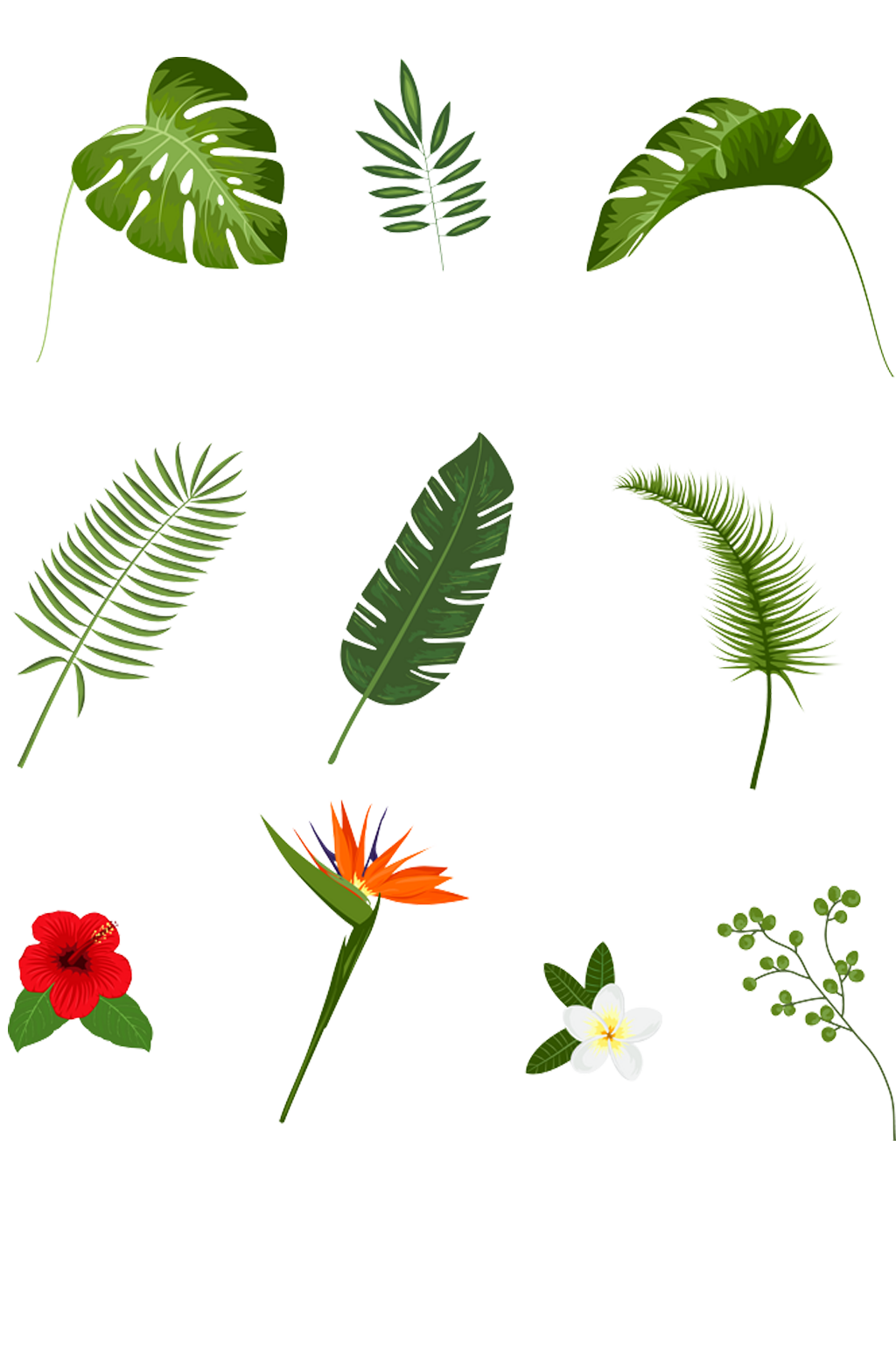 綠植樹葉免摳.png素材