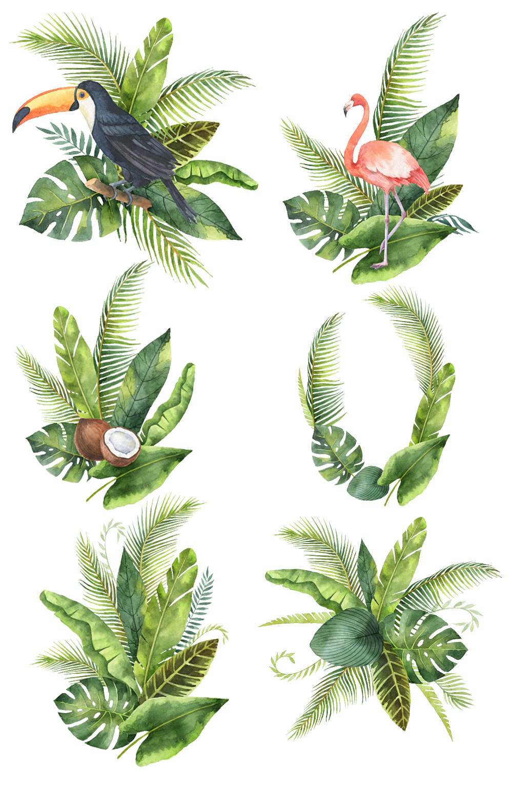 水彩热带雨林素材.png