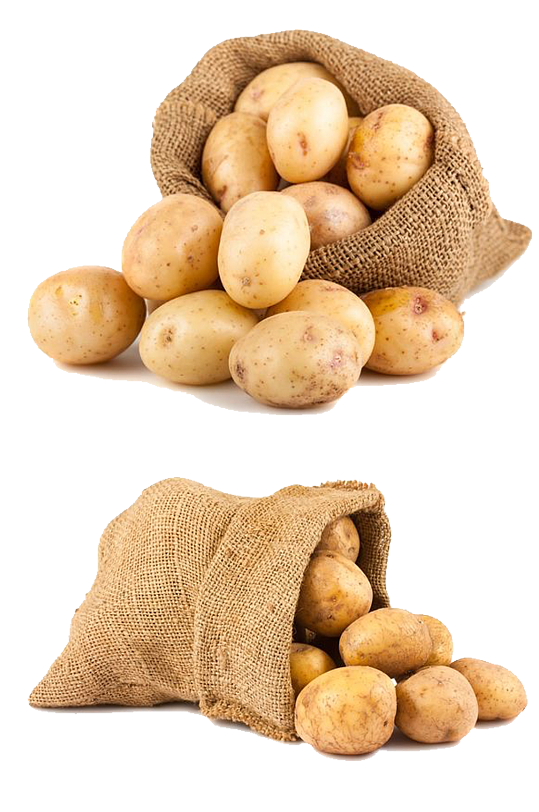 土豆免抠素材.png