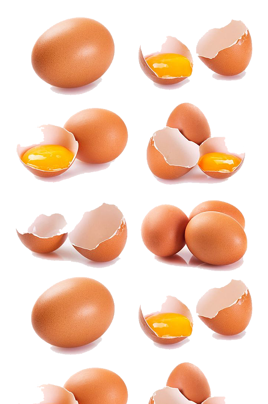 营养蛋白质记鸡蛋.png