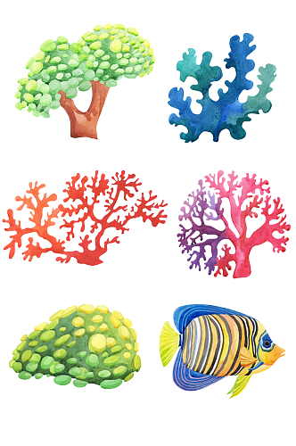 海洋海草生物.png