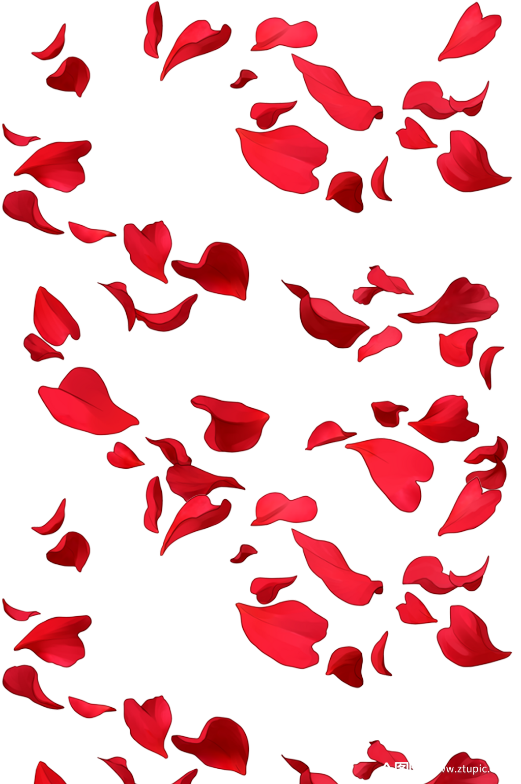 手绘花瓣免抠.png素材